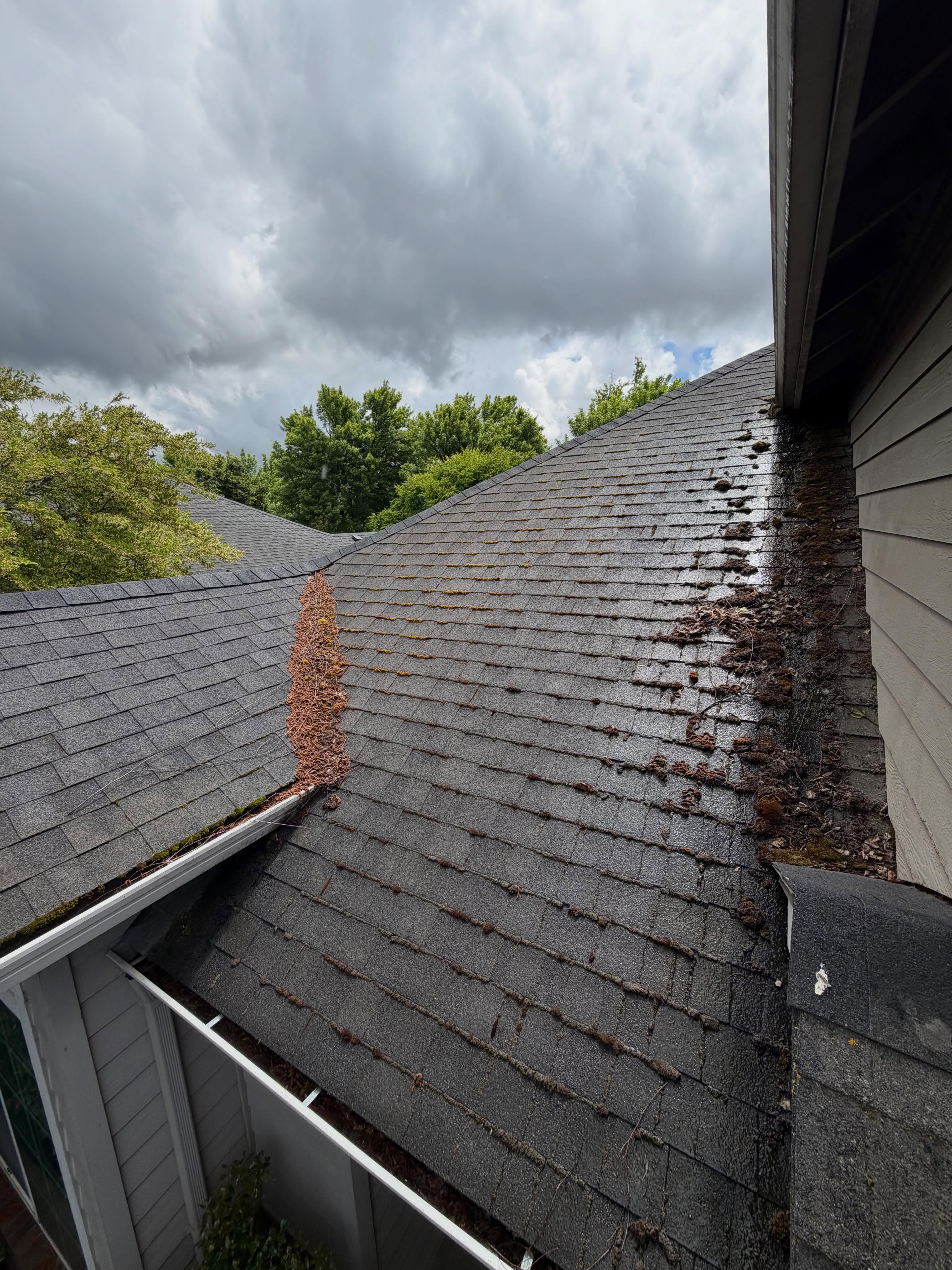 Recent siding refresh after pressure washing in Eugene, Oregon