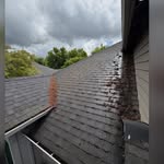 Recent yard cleanup and light demolition near Eugene, Oregon