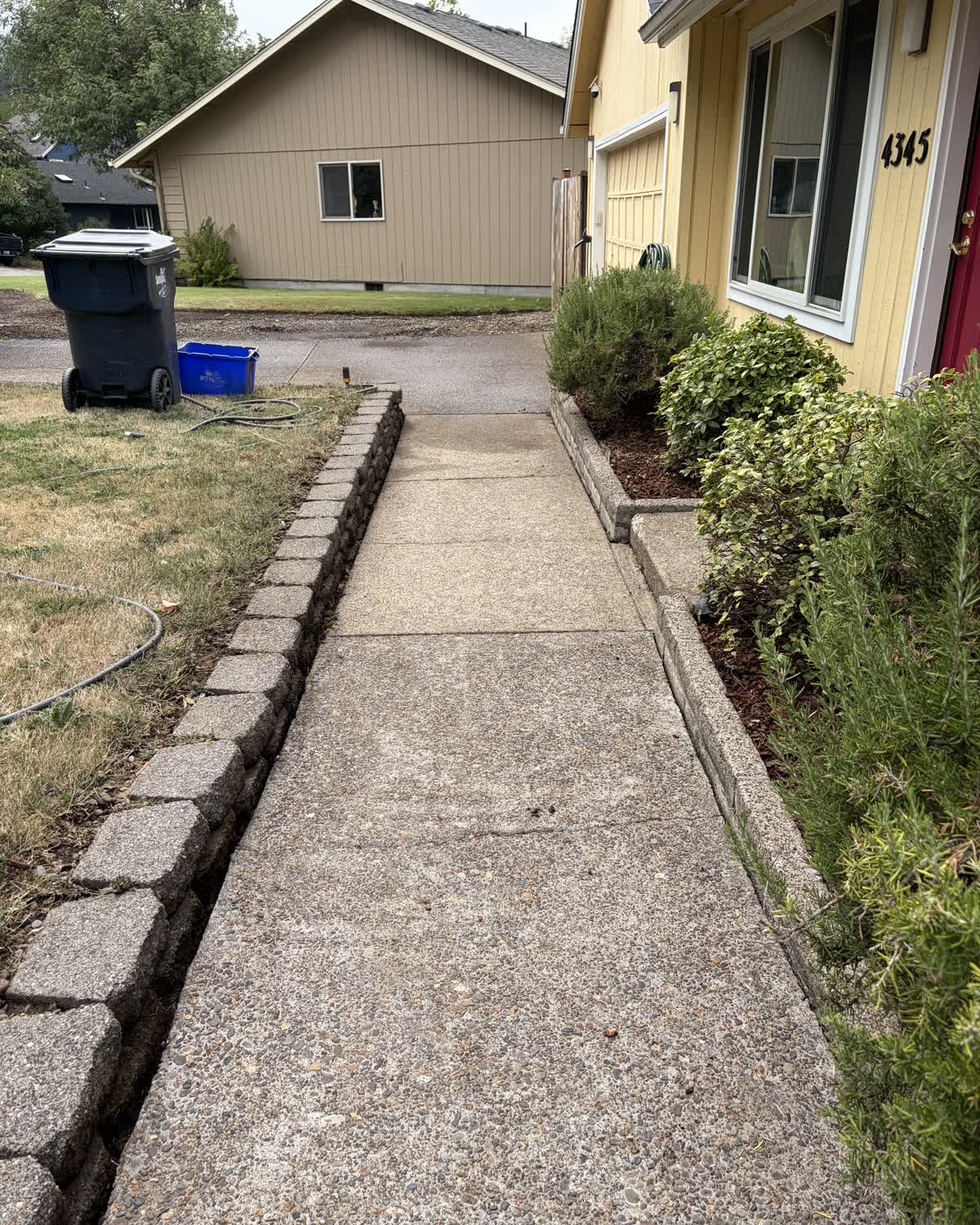 Concrete walkway alongside a house in Eugene, Oregon, clean and dry after pressure washing by D&T Exterior Services LLC