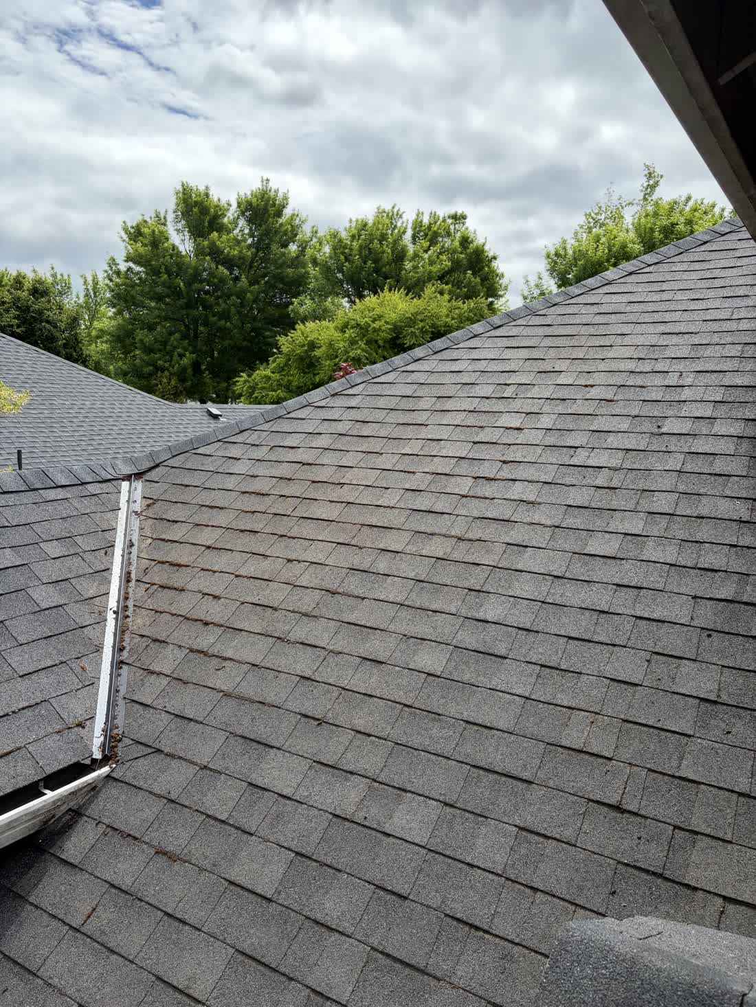 Cleared gutter line running along a shingle roof