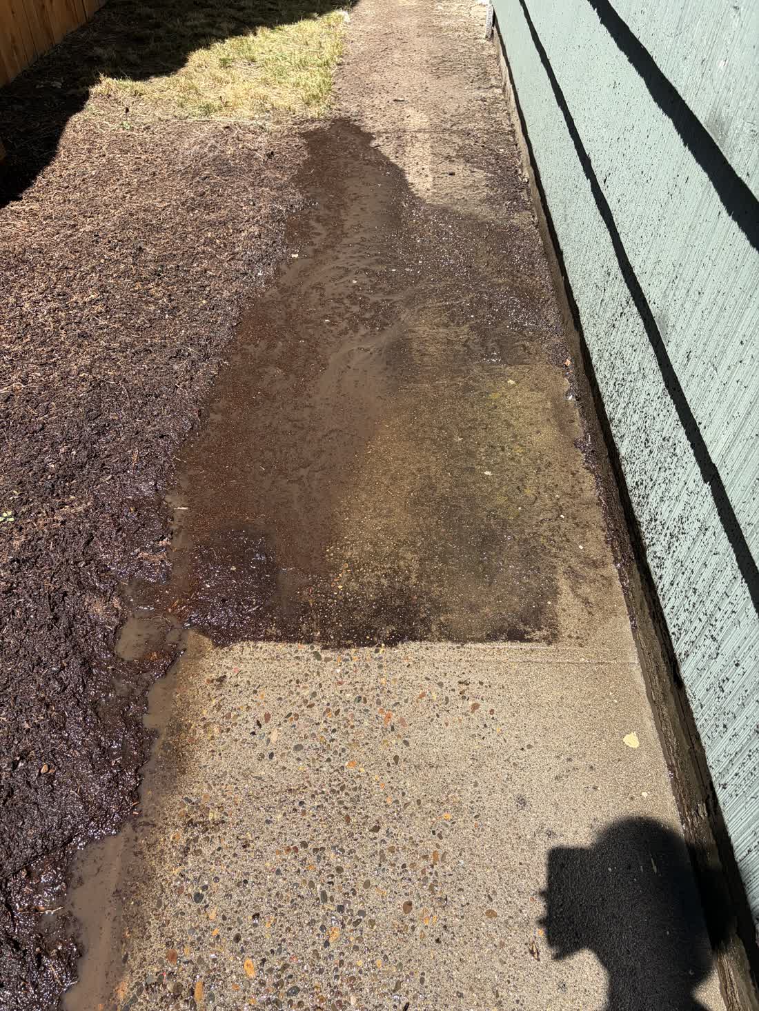 Wet concrete path beside a fence, photographed during a pressure wash
